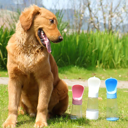 Two-in-one Feeding and Drinking Fountain