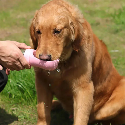 Two-in-one Feeding and Drinking Fountain