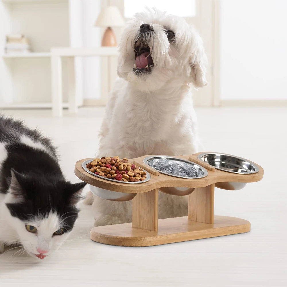 Elevated Cat Feeder with 3 Bowls